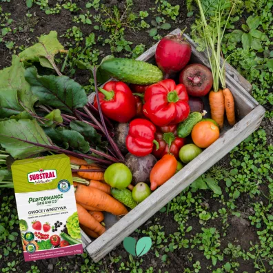 Substral Nawz w granulacie do owocw i warzyw 750 g