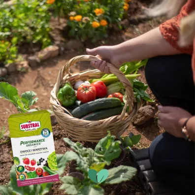 Substral Nawz w granulacie do owocw i warzyw 750 g