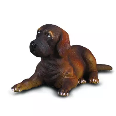 Dog niemiecki szczeniak