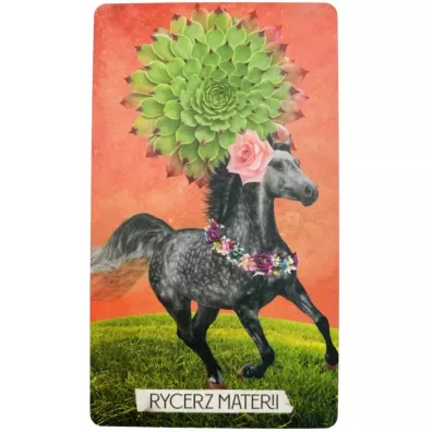 Tarot Muzy