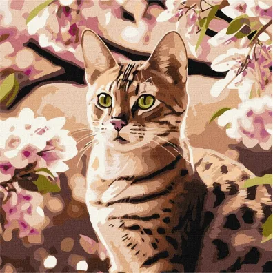 Ideyka Malowanie po numerach - Kotek w ogrodzie 40x40cm