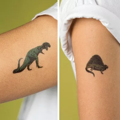 Rex London Trade Tatuae zmywalne dla dzieci, Dinozaury