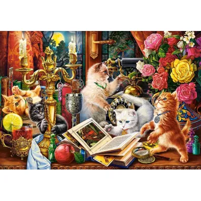 Puzzle 1000 el. Wizard Kittens Castorland