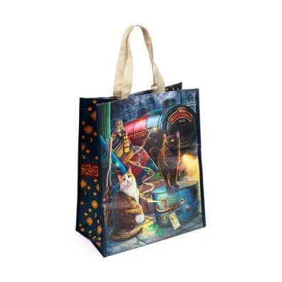Puckator Torba na zakupy Witchwood Express Cat Lisa Parker