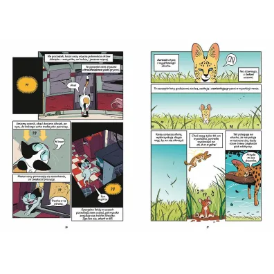 Koty - natura i wychowanie. Naukomiks