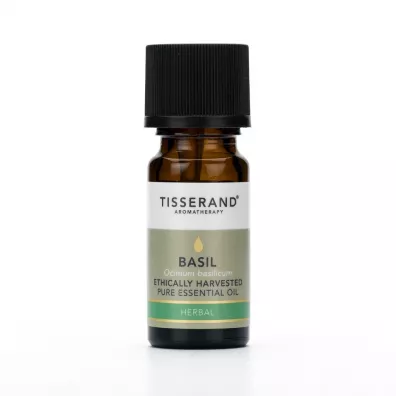 Tisserand Aromatherapy Olejek z Bazylii Basil Ethically Harvested 30 ml