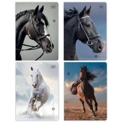 Interdruk Zeszyt A5 M UV Wild Horses kratka, 70g 32 kartki 10 szt.