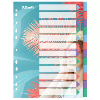 Przekadki Colour Breeze PP A4, 12 przekadek ESSELTE 628501