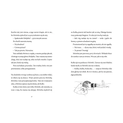 Mr�wka i zagadki