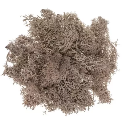 Dalprint Mech br�zowy 30g