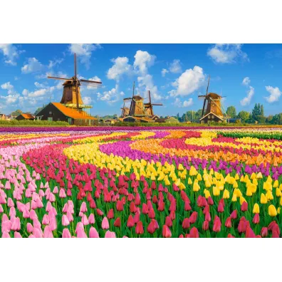Puzzle 1000 el. Dutch Windmills Among Tulips CASTORLAND C-105540