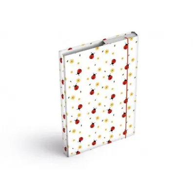 MFP Teczka skrzyd�owa z gumk� A4 box Biedronki