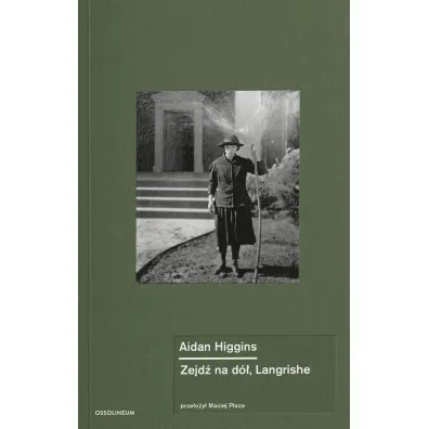 Zejd� na d�, Langrishe - Aidan  Higgins