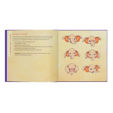 Fanni i wielkie emocje. Rozpoznawanie i nazywanie emocji &ndash; �wiczenia