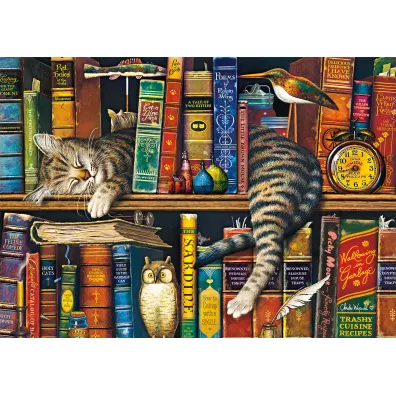 Puzzle 1000 el. Fryderyk - Pisarz G3