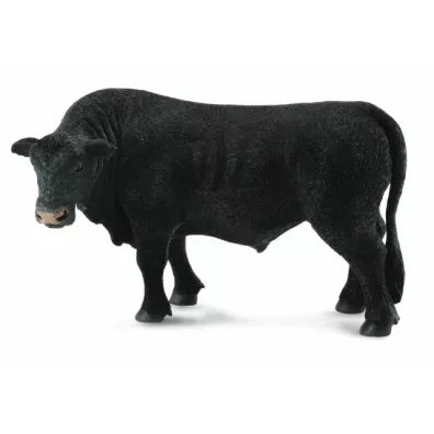 Byk czarny angus