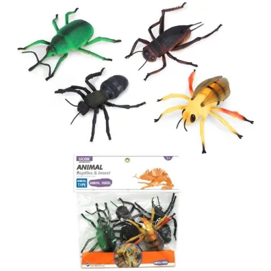 Owady insekty