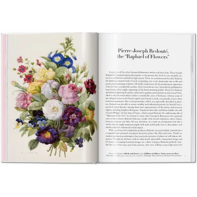 Redoute. Roses wer. angielska