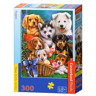 Puzzle 300 el. Puppies Castorland