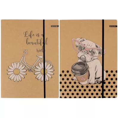 Beniamin Teczka z gumk� A4 kraft liner mix