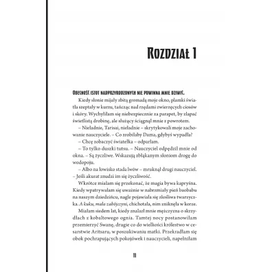 Raybearer. W�adcy Promienia. Tom 1