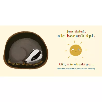 Rok w lesie. Borsuk