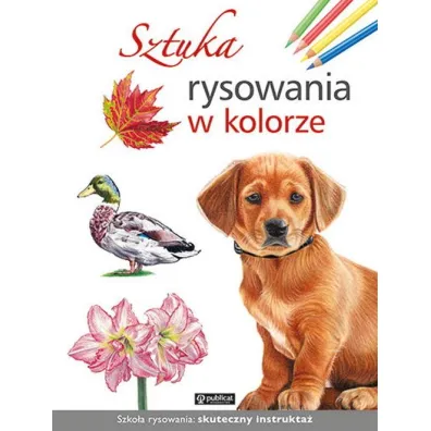 Sztuka rysowania w kolorze