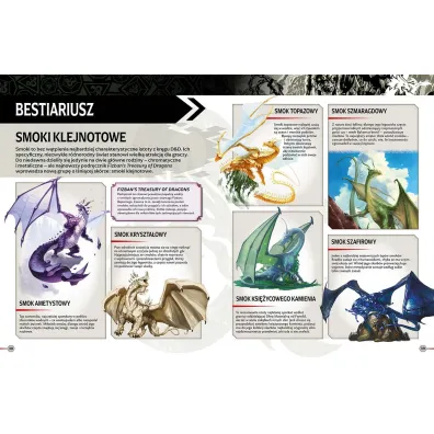 Ksi�ga gry. Dungeons & Dragons