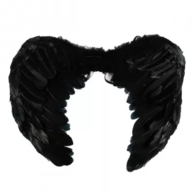 Skrzyd�a czarne Halloween ARPEX SK2394