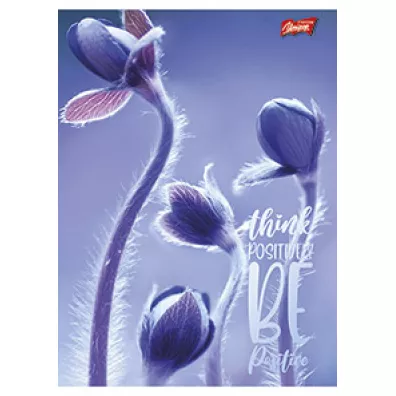 St. Majewski Zeszyt A5 Meadow linia, 70g 80 kartek
