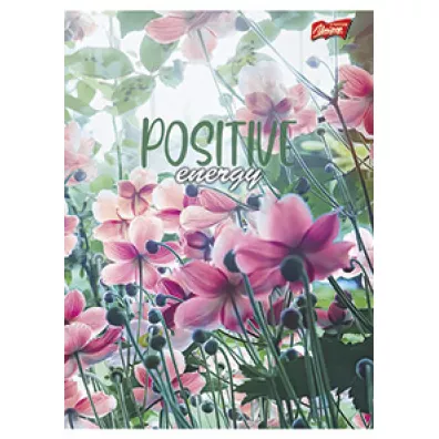 St. Majewski Zeszyt A5 Meadow linia, 70g 80 kartek