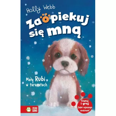 Ma�y Rubi w tarapatach. Zaopiekuj si� mn� - Holly Webb