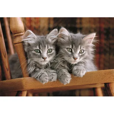 Puzzle 500 el. Kittens Clementoni