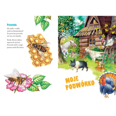 Wies�aw Drabik dla dzieci