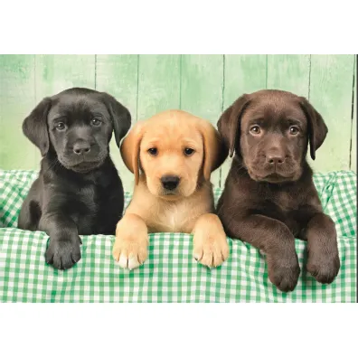 Puzzle 1000 el. Three Labs Clementoni