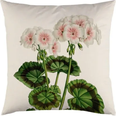 Poszewka na poduszk� 50x50cm - Bia�a pelargonia