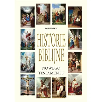 Historie Biblijne Nowego Testamentu - Dawid  Sem