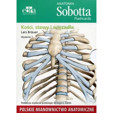 Anatomia Sobotta Flashcards Ko�ci stawy i wi�zad�a - Lars Br�uer