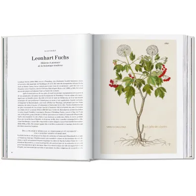 Leonhart Fuchs. The New Herbal