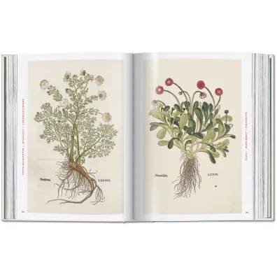 Leonhart Fuchs. The New Herbal