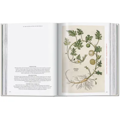 Leonhart Fuchs. The New Herbal