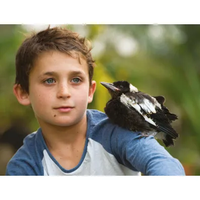 Penguin Bloom. Ptak, kt�ry ocali� rodzin�