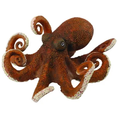 O�miornica