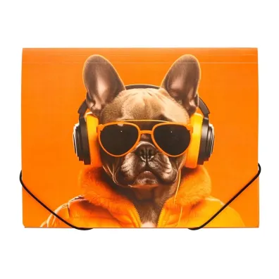 Panta Plast Teczka A4 PP na gumk� z nadrukiem Cool Dog