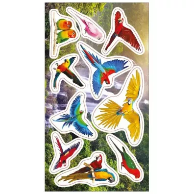 Ranok-Creative Naklejki Papugi