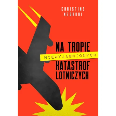 Na tropie niewyja�nionych katastrof lotniczych - Christine  Negroni