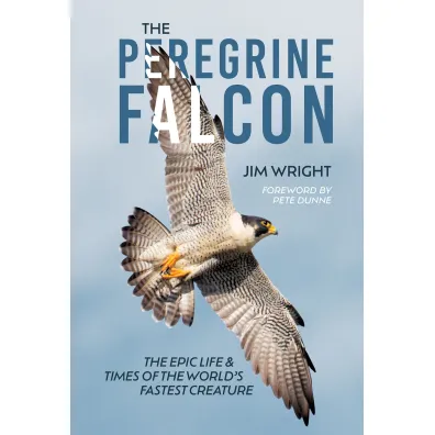 The Peregrine Falcon - Jim Wright