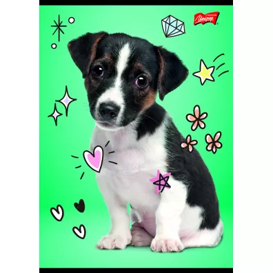 St. Majewski Zeszyt A5 Mix dziewcz�cy dwie linie 16 kartek