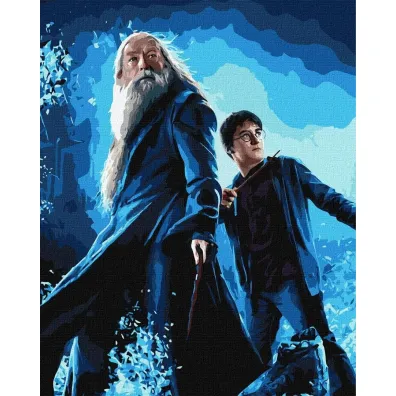 Ideyka Malowanie po numerach - Harry Potter 40x50cm