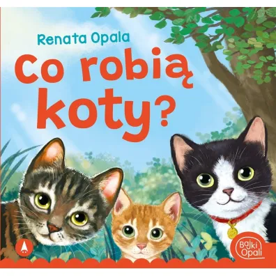 Co robi� koty?